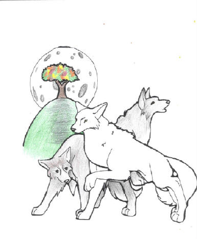 Wolves At Autumn's Moon