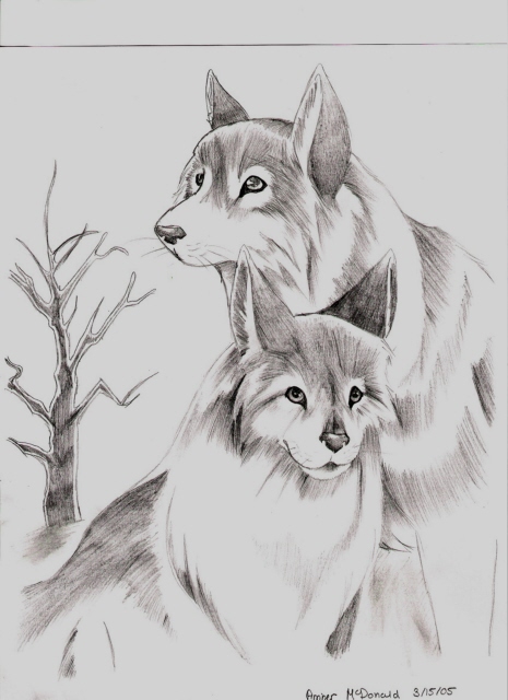 Pencil Wolves
