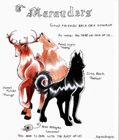 The Marauders