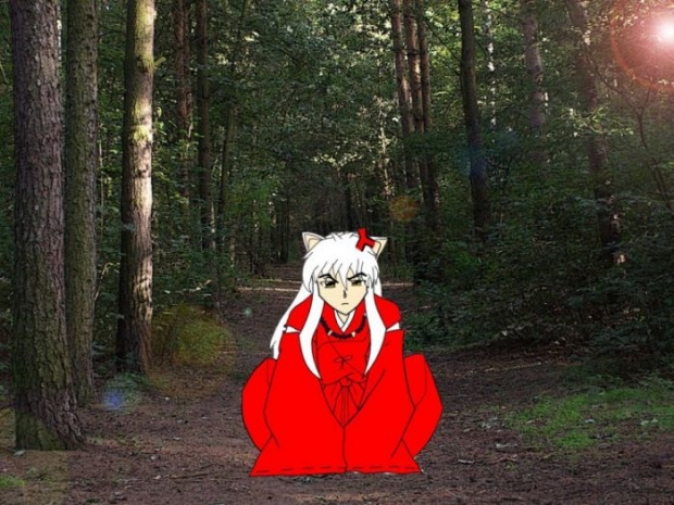 Inuyasha's Forest