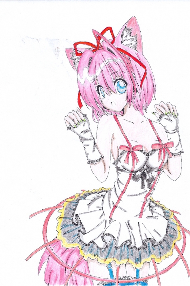 Cardmello with permisson