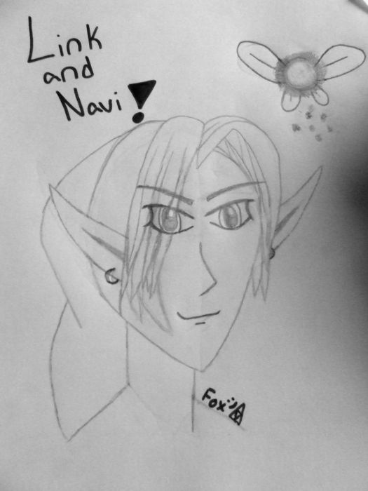 Link And Navi!