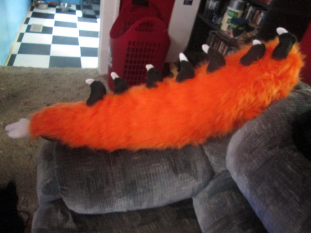 Hollow Moonshine Tail