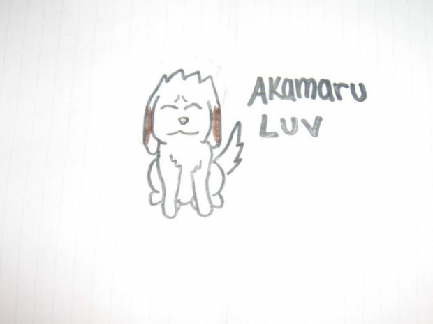 Akamaru