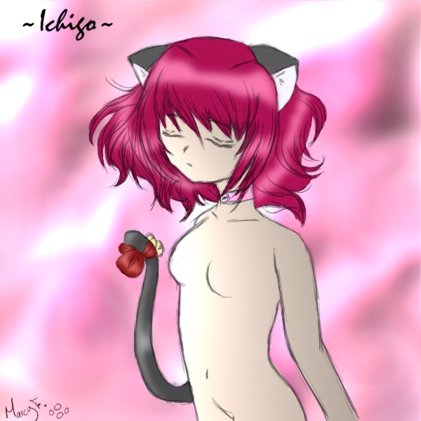 ~ Ichigo ~ ~transformation ~