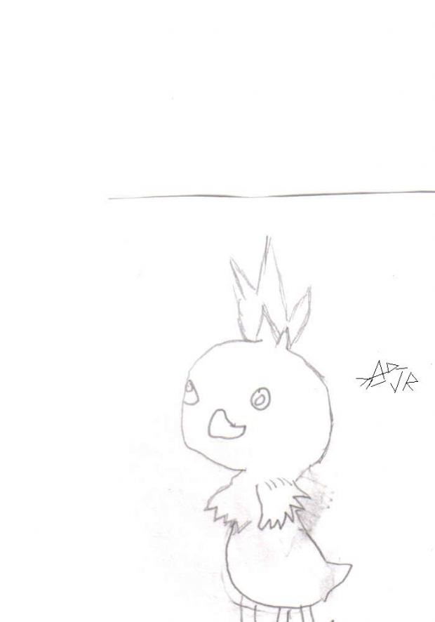 Torchic