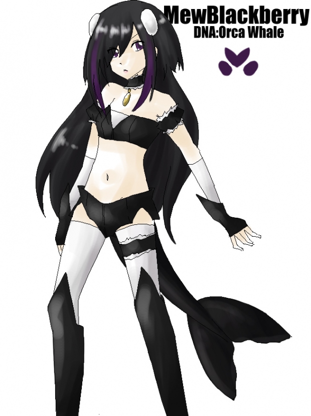 Mew mew Blackberry, Metamorpho-sis~!