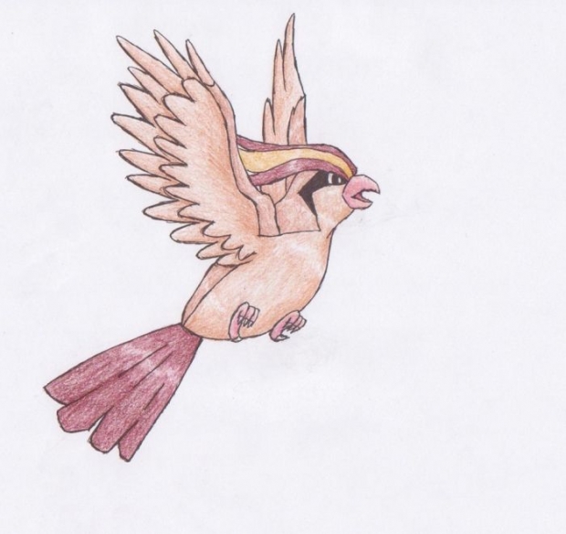 Majestic Pidgeot