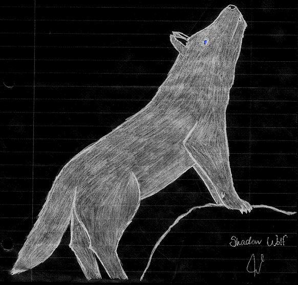 Shadow Wolf Inverted