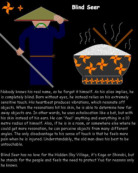 Contest Submission:  Blind Seer