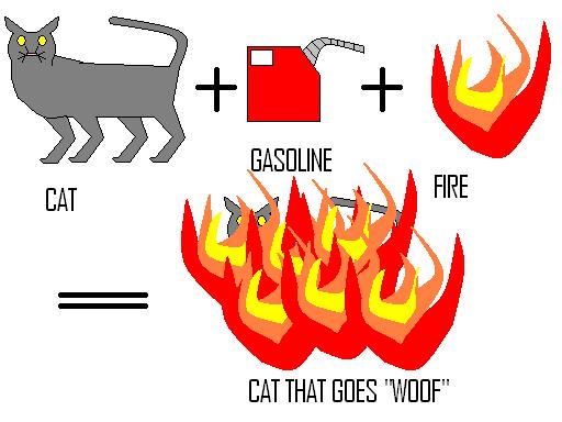 How to make a cat go "woof"