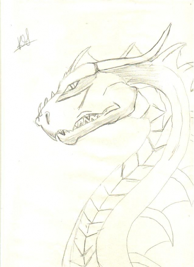 My Dragon