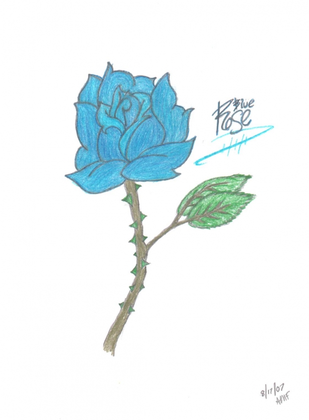 Blue Rose