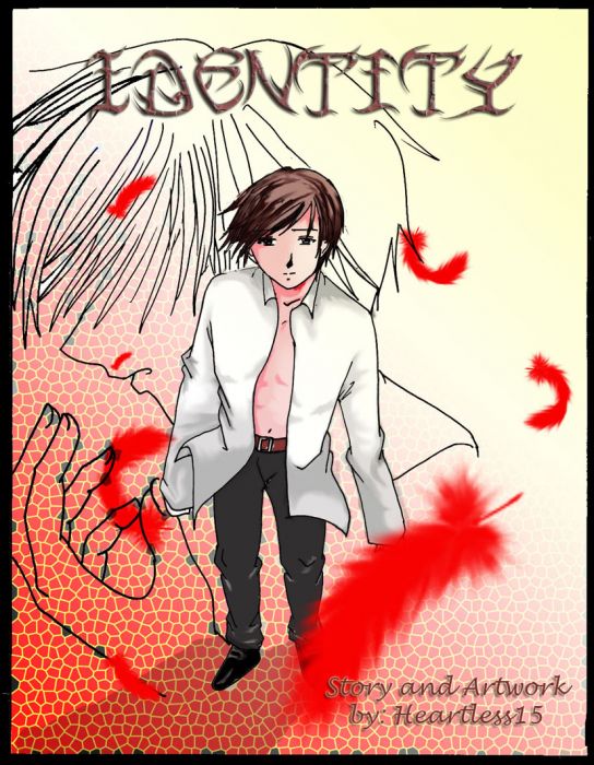 Identify... Cover