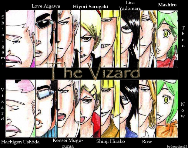 The Vizard