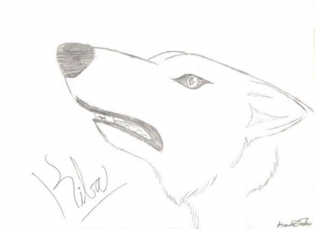 Kiba Sketch