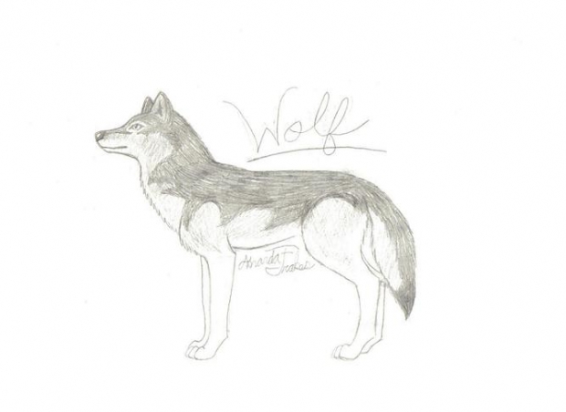 No Clue Who This Is(toboe Maybe?)