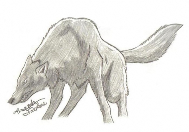 Darcia's Second Rage