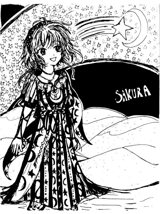 Sakura And Stars