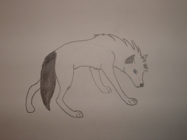 kaden wolf