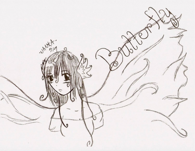 Butterfly