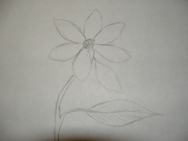 A little flower, didn't sell (1)