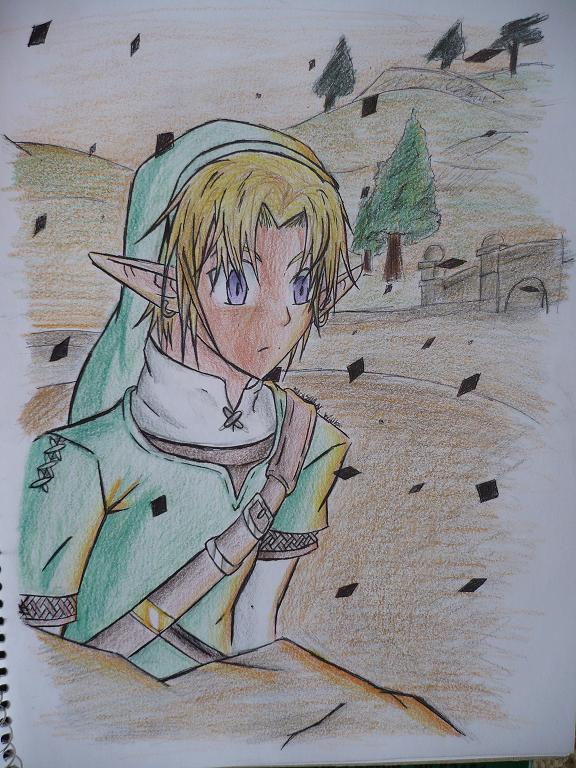 Link.Twilight Princess.