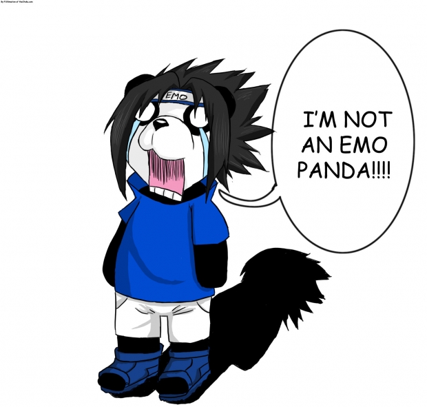 Sasuke the Emo Panda: Entry for AuroraWolf's contest