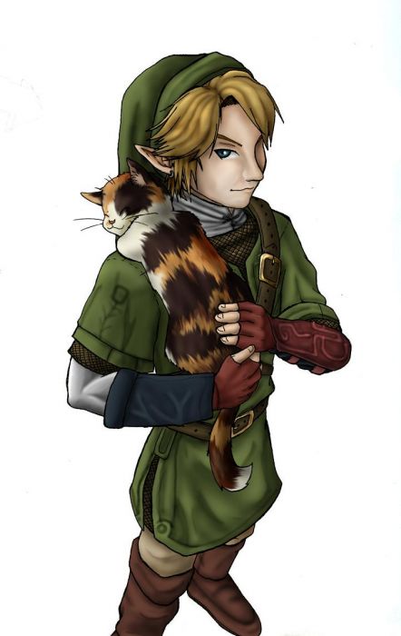 Link With A Cat