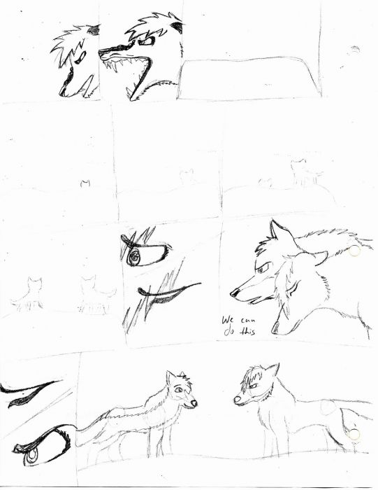 Storyboard(dufe)