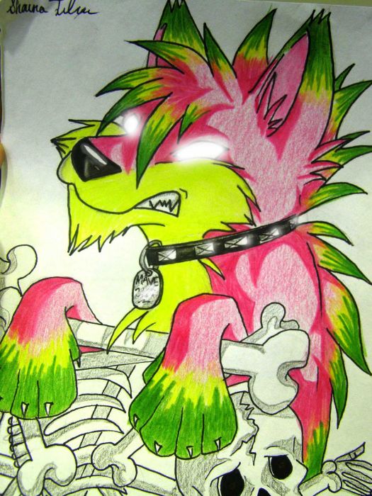 Punk Dog