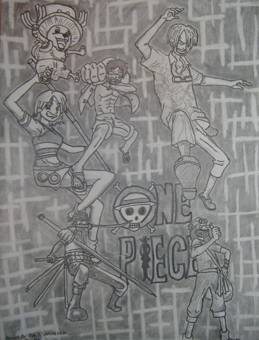 The One Piece Gang