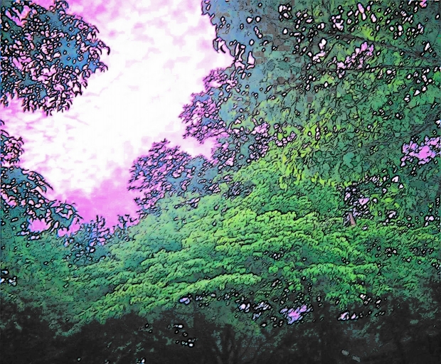 Cressent view of the Sky