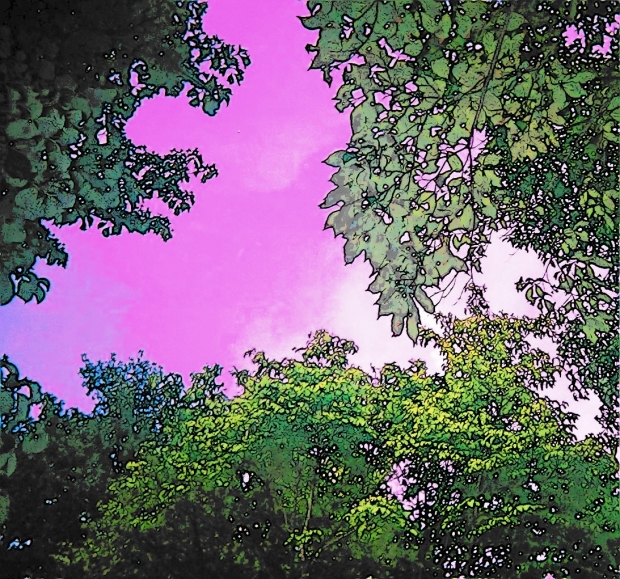 Trianglar View of the Shy