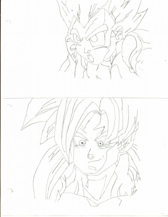 Ssgotenks & Ss4 Gogeta