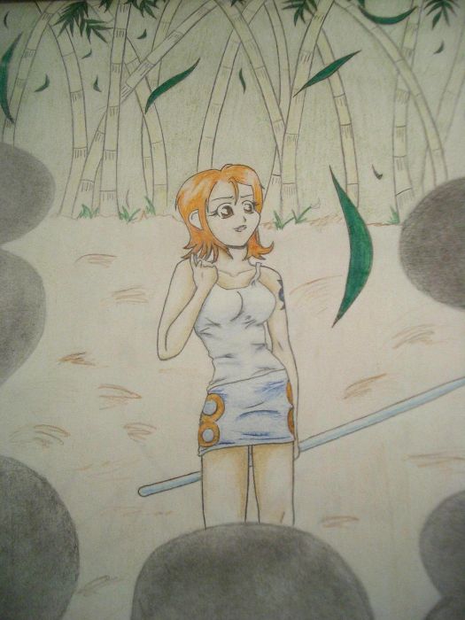 Nami For*chibi Luve*