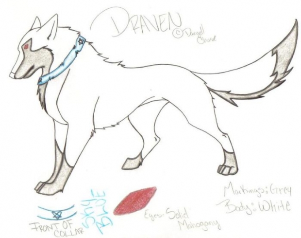 Draven (my Oc)