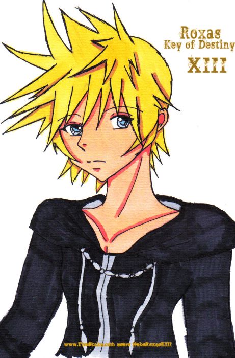 Roxas,key Of Destiny