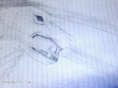 Why Would I Bite Metal Bars