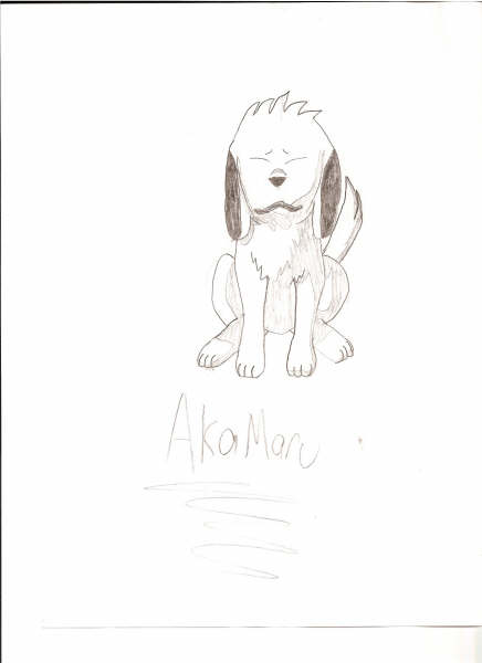 Akamaru