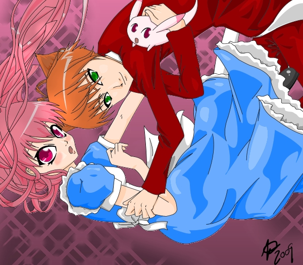 Falling Into Wonderland