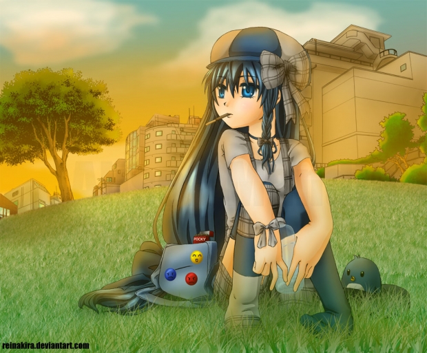 A Summer Evening [For xXForGotten]