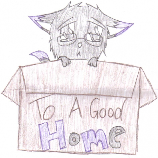 One wolf for sale......