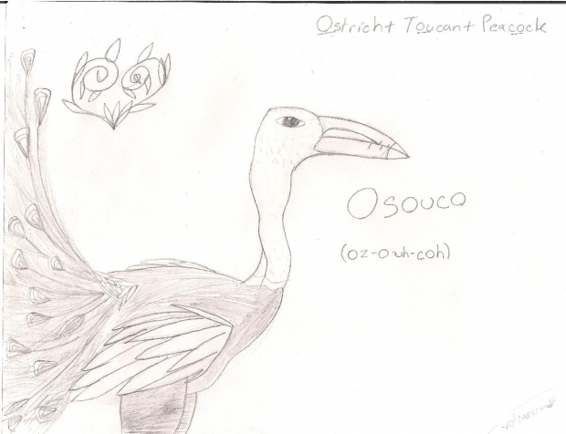 Osouco