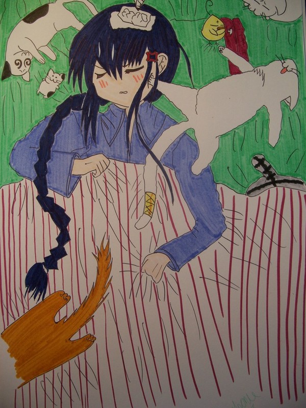 Get Offa Me You Katz!