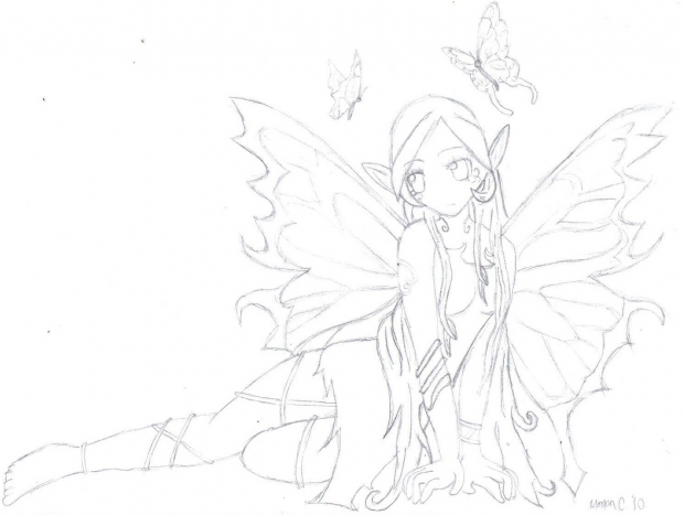 Fairy