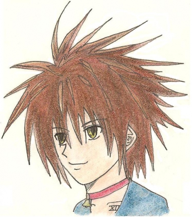 Train Heartnet: HeadShot