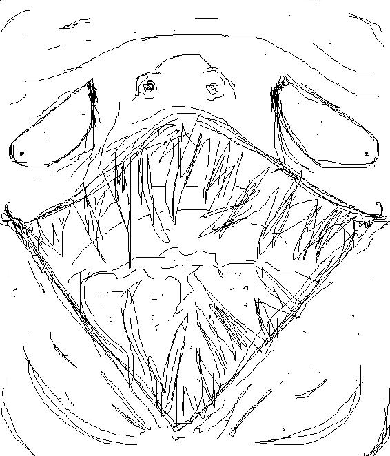 random done in paint