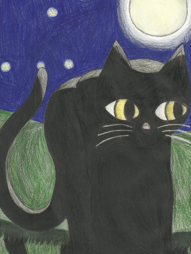 Black Cat :3