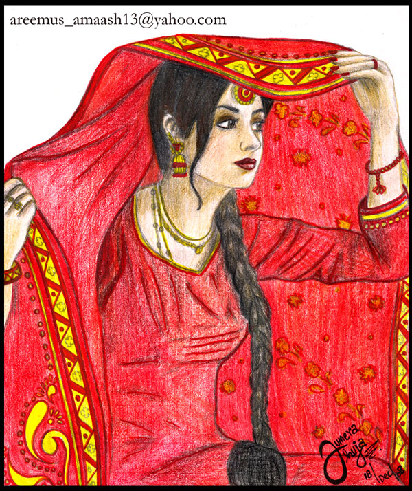 Pakistan's Wedding Dress...